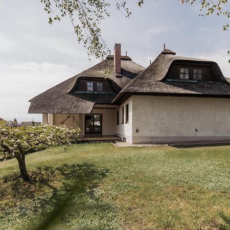מורביש אם סי Ferienhaus Schilfvilla מראה חיצוני תמונה